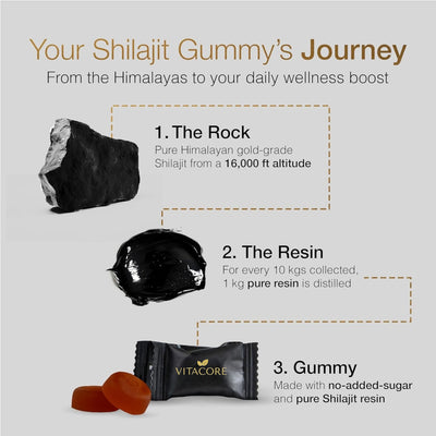 VitaCore Shilajit Gold Gummies