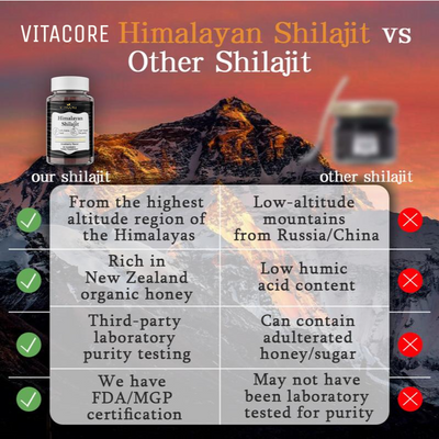 VitaCore® Natural Shilajit Gummies